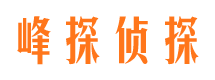 永城市场调查